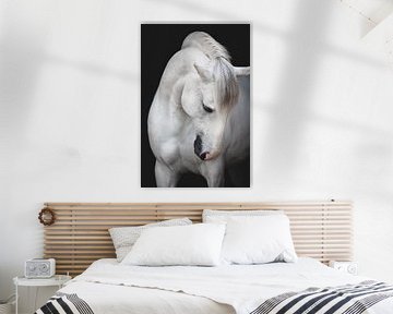 Equine Fine Art by Estelle Roelofs