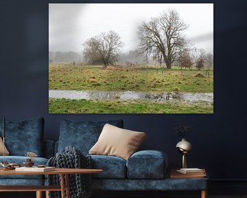 Nature reserve of the River Dyle valley, a natural flood plain a by Werner Lerooy