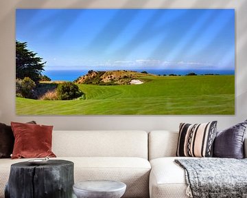 Panoramic landscape of a golf court. New Zealand by Yevgen Belich