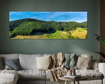 Germany, XXL panorama in middle of black forest countryside by adventure-photos