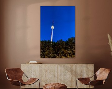 TV-toren van de stad Stuttgart bij nacht verlicht en omgeven door bos van adventure-photos