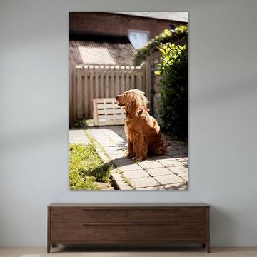 Zonlicht maakt me gelukkig