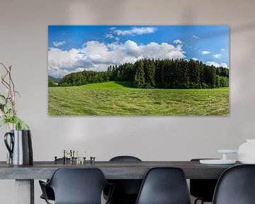 Germany, XXL black forest panorama with mowed field by adventure-photos