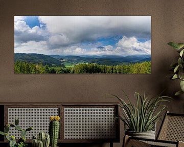 Allemagne, panorama XXL nature du paysage de la forêt noire depuis le sommet sur adventure-photos