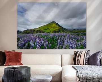 IJsland - Met mos bedekte vulkaan achter paars bloemenveld van adventure-photos