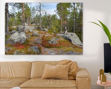 Björnlandet Nationaal Park in Zweden van Karin Jähne
