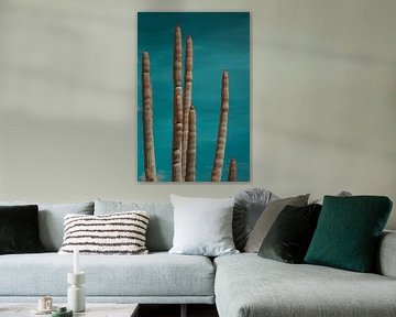 Cactus en infrarouge sur Piedro de Pascale