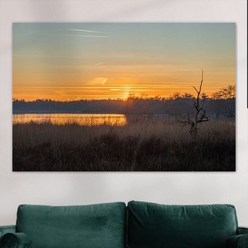 The Flaes on the estate De Utrecht