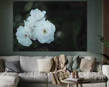 Witte botanische liefde | Reisfotografie fine art foto print | Griekenland, Europa van Sanne Dost