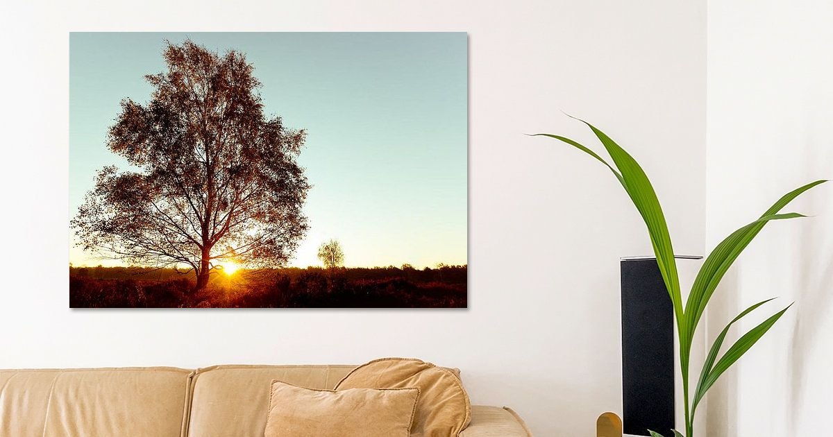 Tableau Déco Impression Sur Verre 120x80cm - Éclipse Arbre Soleil