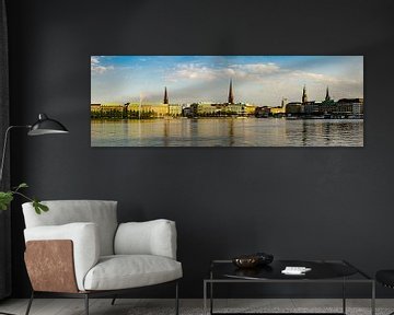 Panorama skyline Hamburg aan de rand van het Alstermeer van Dieter Walther