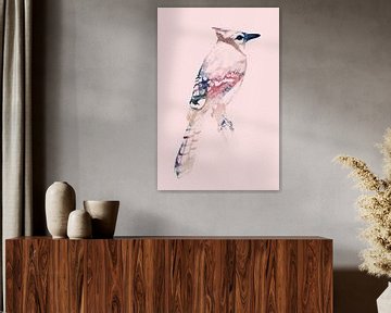 Geai Bleu | Edition rose, Aquarelle d'un oiseau en art numérique sur MadameRuiz