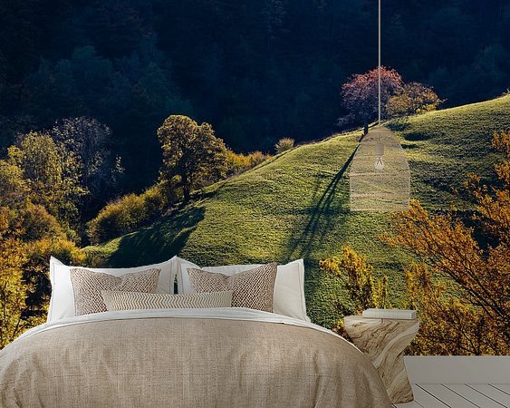 Aperçu de la chambre