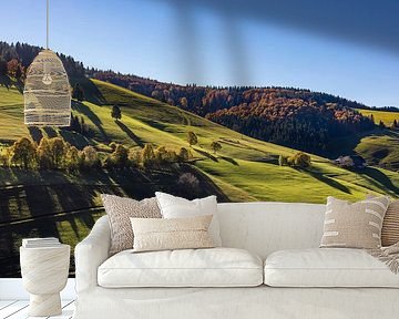 Münstertal in the Black Forest by Werner Dieterich