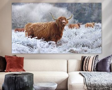 Schotse Hooglander in een bevroren landschap van Art Wittingen
