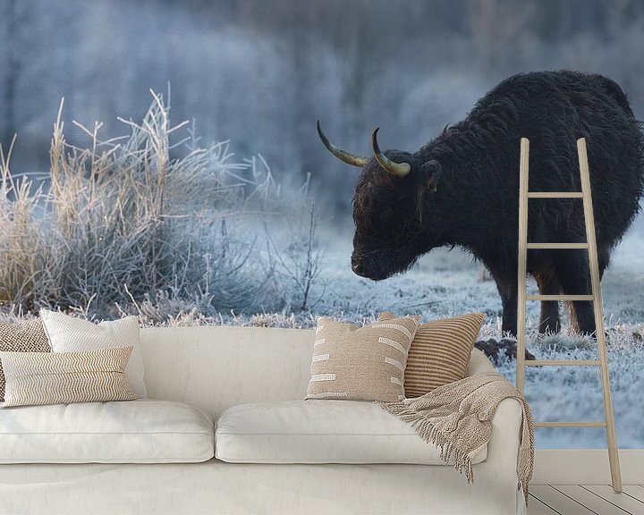 Sfeerimpressie behang: Schotse Hooglander in een bevroren landschap van Art Wittingen