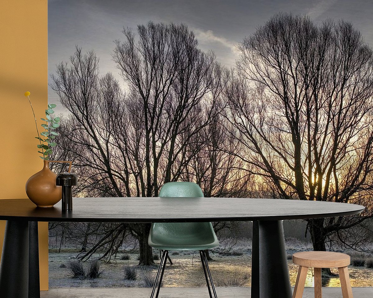 Raumvorschau