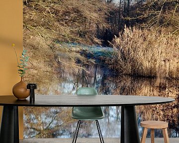 Vegetation along the river loet in Krimpenerwaard