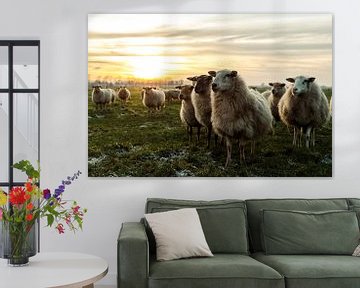 Schapen bij zonsondergang van Danai Kox Kanters