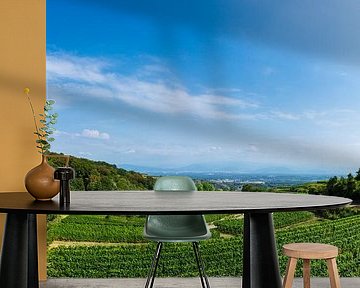 Duitsland, XXL panorama wijngaarden bij Kaiserstuhl van adventure-photos