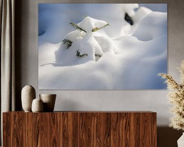 pijnboom bedekt onder een laag sneeuw in het bos in de winter van Karijn | Fine art Natuur en Reis Fotografie