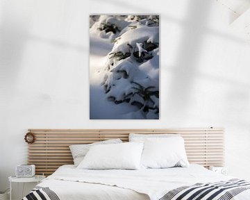 boom in het bos, bedekt met sneeuw, winterfoto van Karijn | Fine art Natuur en Reis Fotografie