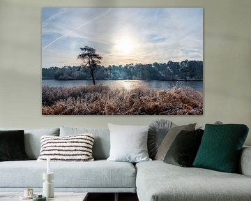 Midwinterzon van Stephan Krabbendam