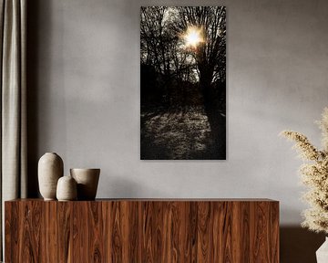 Schöner Wintertag von Jan van der Knaap