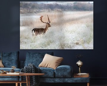 Fallow deer in a winter setting! by Robert Kok