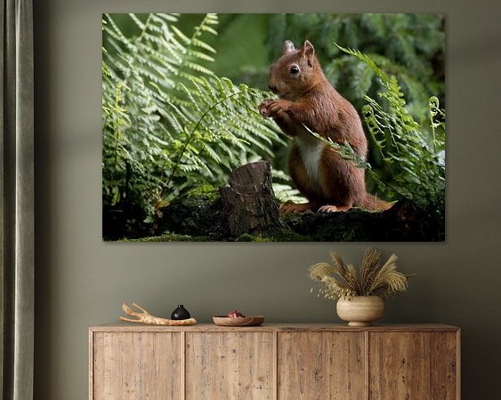 Aperçu de la chambre