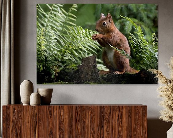 Aperçu de la chambre