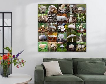 Schöne Collage mit weißen Champignons von Jolanda Aalbers