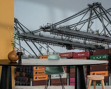 Containerschepen en de Kraanmachinisten in de haven. van scheepskijkerhavenfotografie