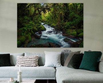 Fiordland Regenwoud, Nieuw Zeeland van Niko Kersting