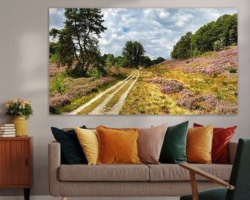 Heide landschap met wandelpad van Digital Art Nederland