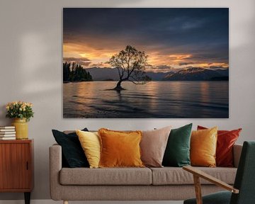 Sunset @ Wanaka Tree (Lake Wanaka, New Zealand)