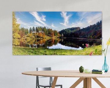 Autumn colors at a lake in the Black Forest