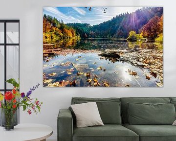 Autumn colors at a lake in the Black Forest