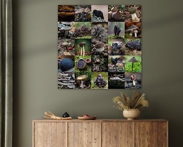 Beau collage avec des champignons de couleur foncée sur Jolanda Aalbers