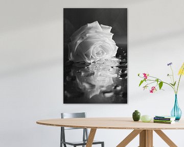 Die gefallene Rose (schwarz und weiß) von Marjolijn van den Berg