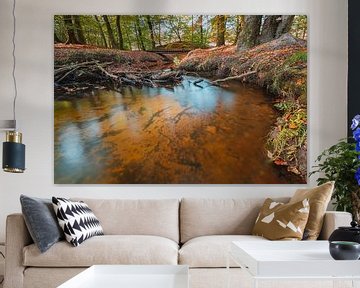 Meanderend beek door het bosrijke landschap van de Veluwe