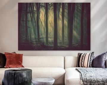 Mystical sunlight between misty tree trunks by Fotografiecor .nl