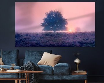 Lever de soleil dans un paysage de bruyère brumeuse avec des arbres sur Fotografiecor .nl