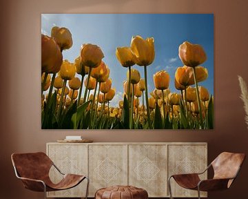 Gelbe Tulpen von Simone Meijer