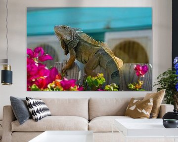 USA, Floride, Gros plan sur le côté d'un énorme lézard, Iguana sur adventure-photos