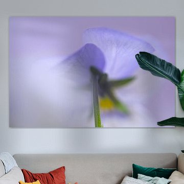 Im Nebel fand ich dich