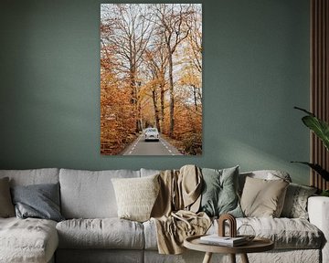 Nederland | herfst | oranje | bos | oldtimer roadtrip | Veluwe van Iris van Tricht