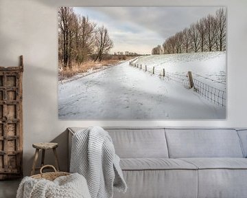 Nederlands landschap in het winter seizoen van Ruud Morijn