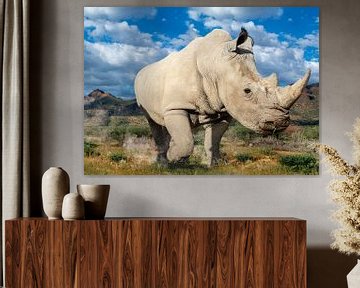 Rhino van Alex Neumayer