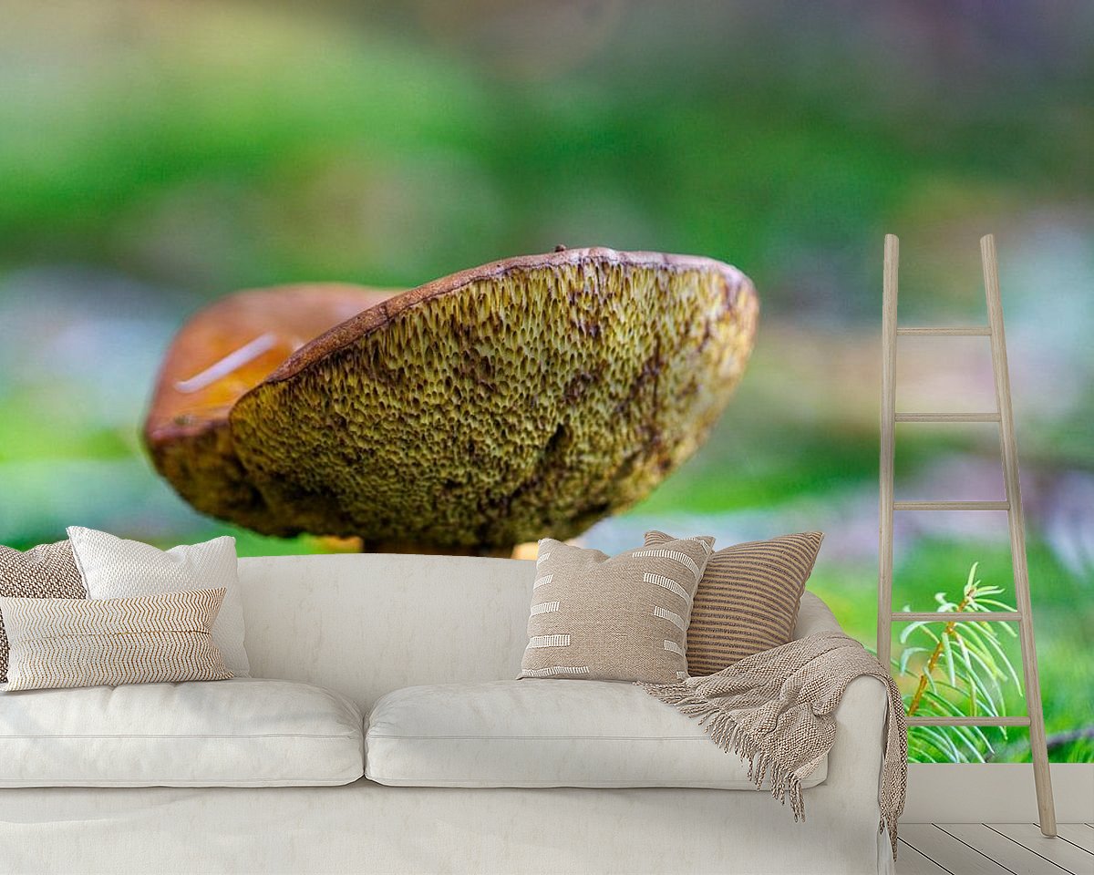 Raumvorschau
